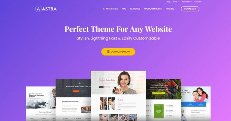 Astra Pro Theme
